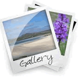 Hotel photo gallery
