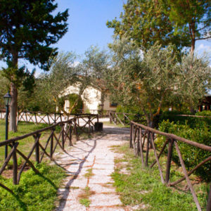 Alla scoperta di un buon agriturismo a Roma