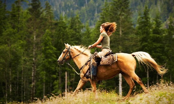 Passeggiate a cavallo in un'area verde a Roma