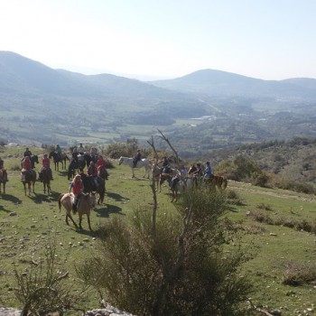Passeggiate a cavallo a Roma, ecco dove poterle fare