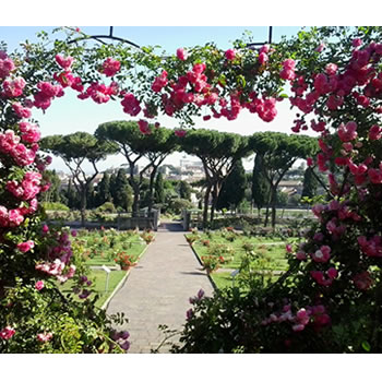 Apertura del Roseto comunale a Roma: passeggiata tra una vasta carietà di rose