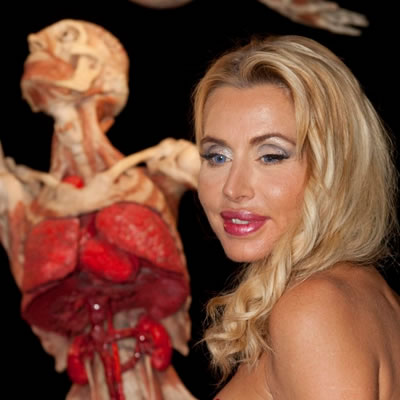 Body Worlds a Roma: torna la mostra dedicata al corpo umano